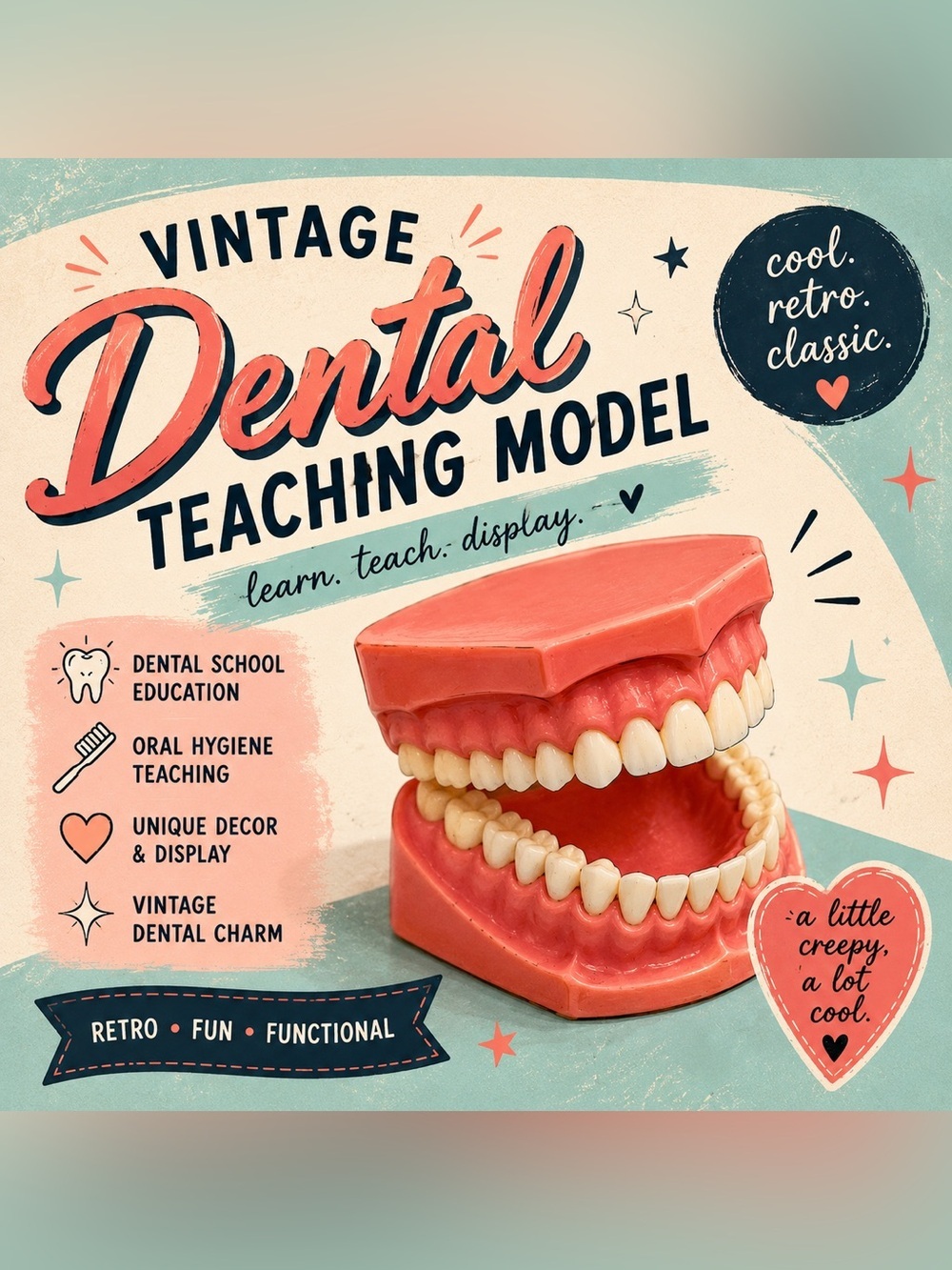 Vintage Dental Teaching Model - Coral Pink Educational Teeth Display